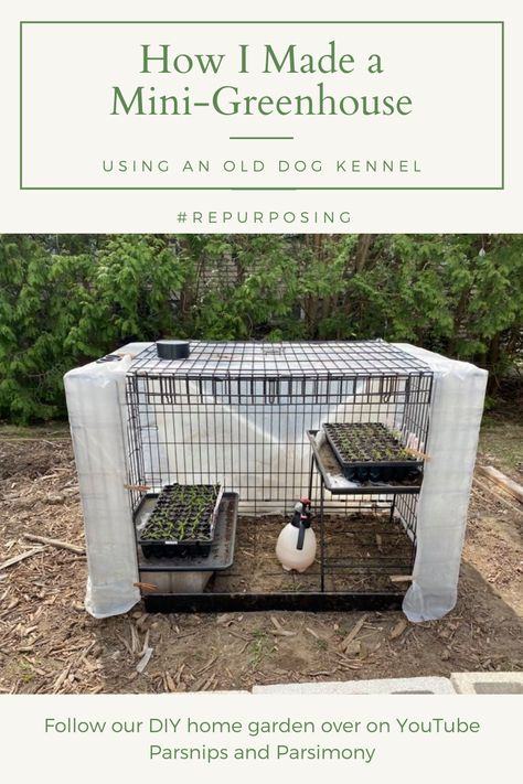 This video shows you how I turned an old dog kennel into a mini-greenhouse repurposing materials found around my house. Total cost: $0!!! Repurposed Dog Kennel, Diy Small Greenhouse, Large Dog Kennel, Diy Mini Greenhouse, Terrarium Inspiration, Homemade Greenhouse, Garden 101, Cheap Greenhouse, Diy Greenhouse Plans