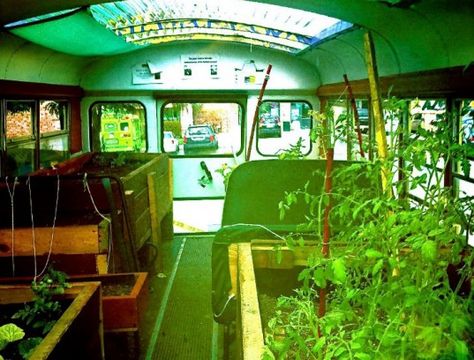 Brilliant!! The Green Urban Lunch Box is a 35-foot bus in Salt Lake City no longer making the rounds on the schoolbus circuit. Now, it has the much more exciting task of teaching kids and adults about the amazing scientific, agricultural and social aspects of growing food in urban environments. The bus keeps busy touring local community events and farmers’ markets, boasting a team that dishes all the dirt on gardening while handing out seeds as they go! Greenhouse On Wheels, Short Skoolie, Mobile Greenhouse, Garden Trolley, Urban Garden Design, Green School, Greenhouse Ideas, Bus Life, Green Houses