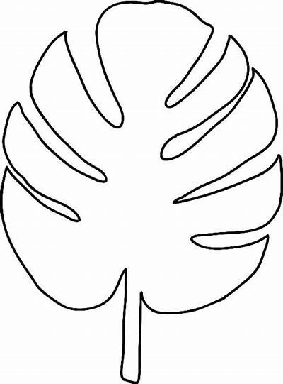 Cartulina Moldes De Hojas Tropicales Leaves Template Free Printable, Maple Leaf Drawing, Leaf Template Printable, Printable Leaves, Palm Leaf Art, Leaf Coloring Page, Leaf Cutout, Paper Flower Patterns, Leaf Stencil