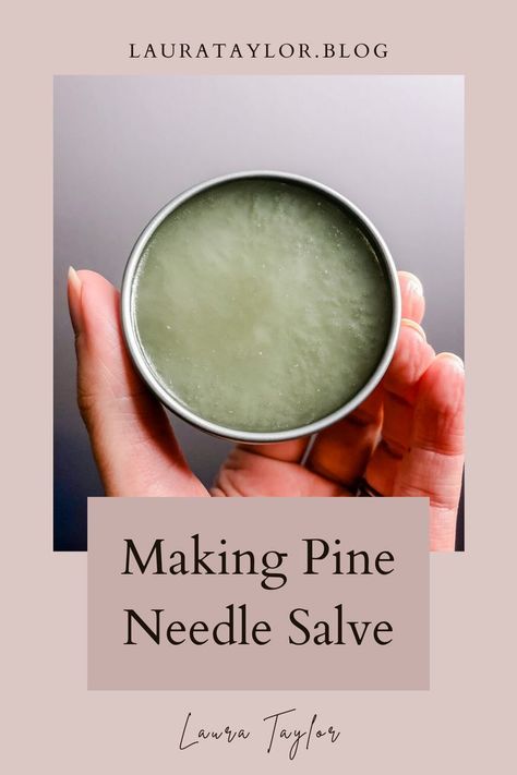 Pine Infused Oil, Pine Salve Recipe, Things To Make With Pine Needles, Pine Resin Salve, Pine Needle Salve Recipe, Pine Oil Diy, Uses For Pine Needles, Pine Needle Salve, Pine Tree Uses