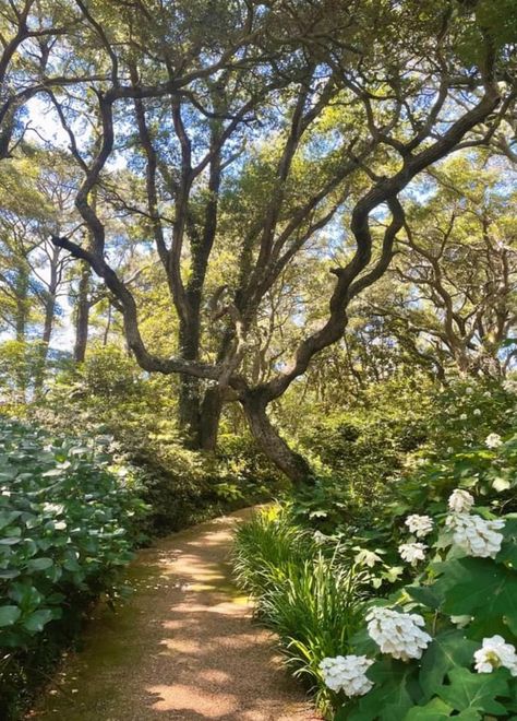 Pretty Like The Earth, Aesthetic Earth Pictures, Earth Mother Aesthetic, Element Earth Aesthetic, Earth Angel Aesthetic, Earth Asethic, Earth Academia, Four Elements Aesthetic, Earth Powers Aesthetic