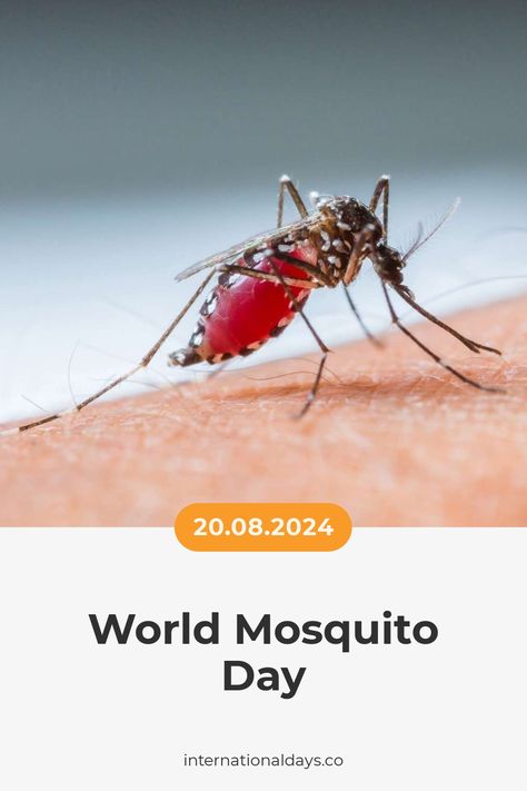 Raise awareness about malaria on World Mosquito Day, August 20th, and help protect children from its deadly effects. World Mosquito Day, Fertility Day, United Nations Day, Bacon Day, Sandwich Day, Cheese Day, Poetry Day, Education Day, Wildlife Day