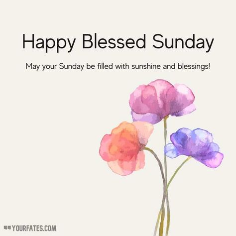 Sunday Morning Blessings Quotes, Sunday Morning Blessings, Happy Sunday Messages, Morning Blessings Quotes, Grateful For Life, Blessed Sunday Quotes, Blessed Sunday Morning, Happy Sunday Images, Happy Sunday Morning