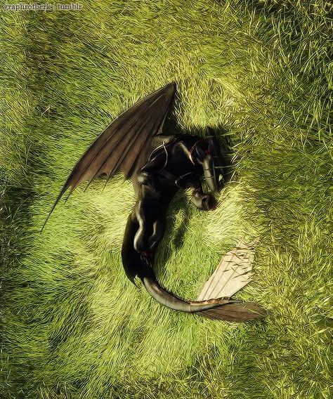 Toothless rolling around in grass How To Train Your Dragon Toothless, Lightning Aesthetic, Httyd Toothless, Toothless And Stitch, Dragon Toothless, Dragons Riders Of Berk, Httyd Art, Toothless Dragon, Hiccup And Toothless