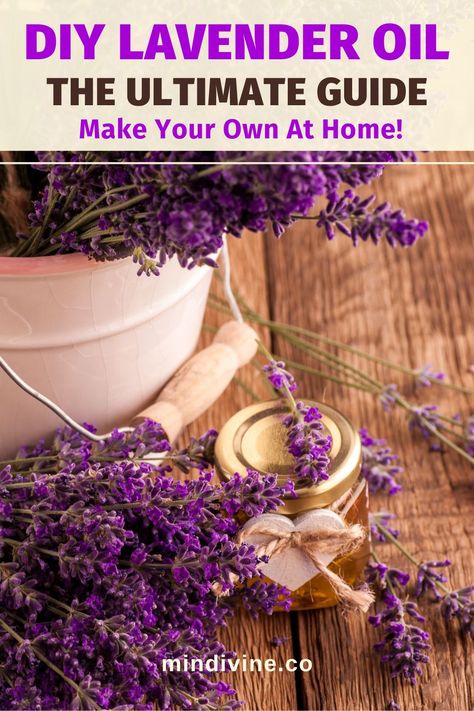 How To Make Lavender Oil: 2 Easy Homemade Methods 4 Diy Lavender Oil, Diy Soap Lavender, Lavender Oil Recipes, Homemade Lavender Oil, Make Lavender Oil, Herbal Oil Recipes, Lavender Oil For Hair, Lavender Oil Benefits, Essential Oil Sprays