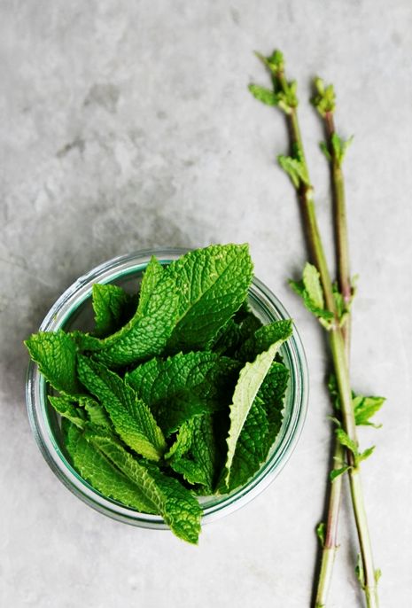 Mint Julep Recipe, Mint Tea, Fresh Mint Leaves, Spices And Herbs, Healing Food, Mint Julep, Mint Leaves, Fresh Mint, Sweet Savory