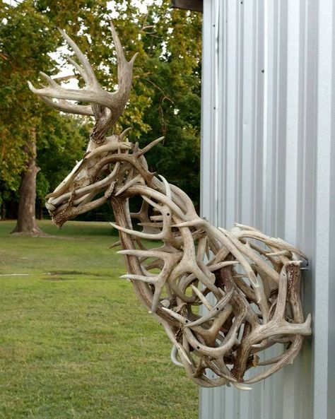 #WhitetailWednesday: 25 Unique Ideas for Your Next Whitetail Mount European Mount Decor, European Deer Mount Ideas, Antler Mount Ideas, Skull Mount Ideas, European Mount Ideas, Antler Mounts, Deer Mount Ideas, Deer Skull Mount, Deer Antler Crafts