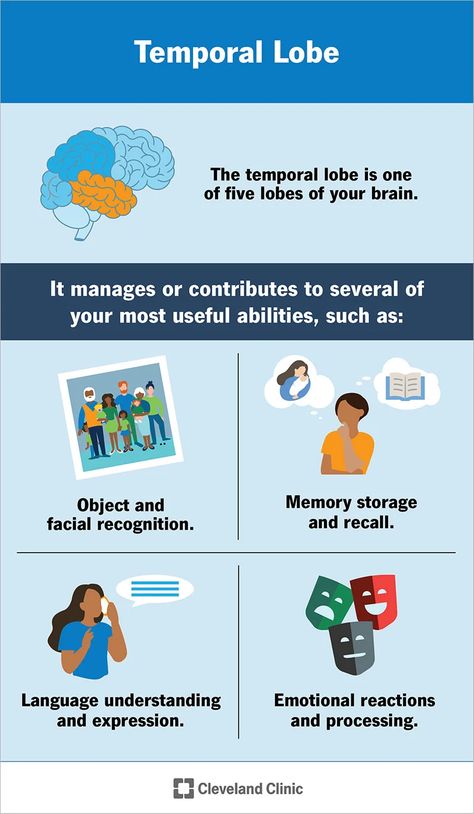 Temporal Lobe: What It Is, Function, Location & Damage Brain Lobes, Processing Emotions, Temporal Lobe, Meaningful Sentences, Cerebrospinal Fluid, Brain Tissue, Memory Problems, Facial Recognition, Sensory Processing