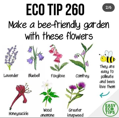 Bee Friendly Garden, Environmentally Friendly Living, Bee House, Bee Friendly, Eco Living, Plants And Flowers, Eco Friendly Living, House Plants Indoor, Eco Friendly House