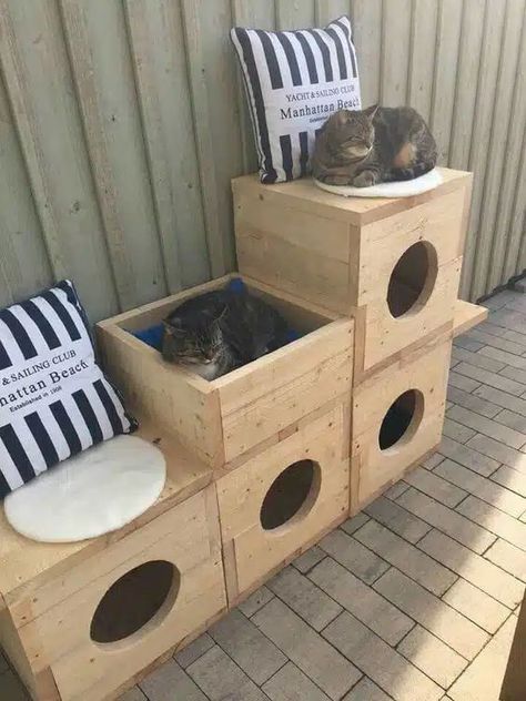 Creative Cat Houses With Pallets: DIY Ideas Wooden Cat House Outdoor, Cat Furniture Diy Homemade, Ideas Using Pallets, Cat House Ideas, Diy Cat House, Cat Mansion, Outdoor Cat Shelter, Diy Cat Bed, Wooden Cat House