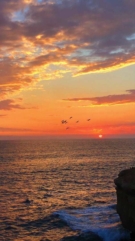 Sunset Cliffs, San Diego CA San Diego Beach Pictures, San Diego Wallpaper, Cliff Sunset, San Diego Aesthetic, Ocean Beach San Diego, San Diego Sunset, Sunset Cliffs San Diego, Sunset Skies, Sunset Cliffs