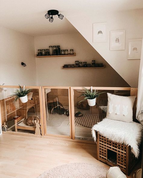 Pauli and Hugo on Instagram: “Our space 😍” Aesthetic Rabbit Cage, Rabbit Cage Setup, Rabbit Enclosures, Indoor Rabbit House, Diy Rabbit Cage, Indoor Rabbit Cage, Outdoor Rabbit, Rabbit Stuff, Puppy Room