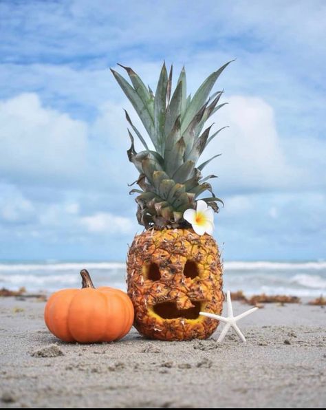 Are you looking for a fun, new way to take part in the pumpkin carving  tradition, but without the pumpkins? We’ve got the trend for you! The  latest fall tradition, perfect for those living the South Florida  Lifestyle, is carving pineapples! Coastal Halloween, Summerween Party, Pumpkin Carving Art, Halloween Carving, Halloween Bedroom Decor, It's The Great Pumpkin, Halloween Bedroom, Palm City, My Halloween Costume