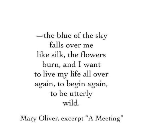 Victoria Erickson, Writer Poems About Mountains, Poems About New Beginnings, May Poetry, Mary Oliver Quotes, Mary Oliver Poems, Blue Notes, Victoria Erickson, I Want To Live, Writing Coach