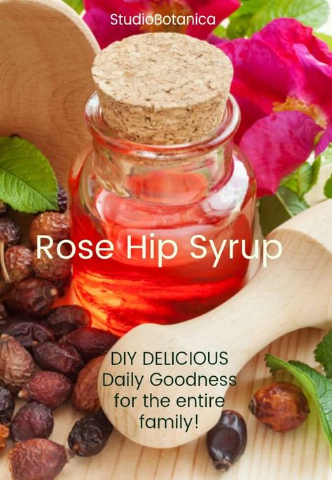 Uses For Rose Hips, Elderberry Syrup With Rose Hips Recipe, Rosehip Recipes, Ginger Rose, Aphrodisiac Foods, Spice Combinations, Witch Herbs, Organic Coconut Sugar, Rose Hips