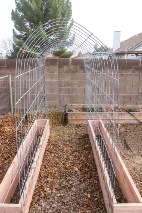 trellis with garden boxes near stone wall-pole beans? Building A Trellis, Moderne Have, Raised Garden Bed Plans, Garden Boxes Diy, Diy Garden Trellis, Garden Boxes Raised, Diy Trellis, Diy Raised Garden, Garden Vines