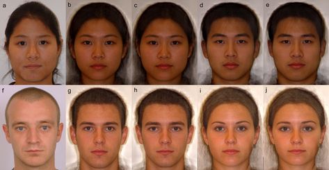 Comparing Male vs female face Male Vs Female Eyes, Male And Female Face Difference, Male And Female Face Drawing, Male Vs Female Face, Smaller Nose, Masculine Face, Human Anatomy Reference, Male Vs Female, Feminine Face