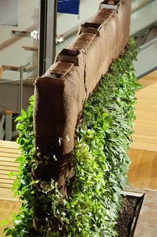 Living Wall Garden, Living Wall Indoor, Vertical Garden Design, Walled Garden, Wall Garden, Unique Gardens, Kew Gardens, Small Garden Design, Easy Garden