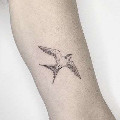 Explore the 8 Best Sparrow Tattoo Ideas (2020) • Tattoodo Bird Tattoo Fine Line, Sparrow Tattoo Ideas, Sparrow Tattoos, Mockingbird Tattoo, Robin Tattoo, Bird Tattoo Back, Stag Tattoo, Sparrow Tattoo, Native Tattoos