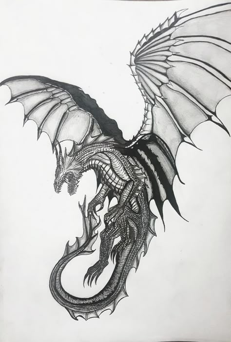 Medevil Dragon Tattoo, Western Dragon Tattoo, Mythical Dragon Tattoo, Flying Dragon Tattoo, Wyvern Tattoo, Lion Hand Tattoo, Dragon Medieval, Dragon Tattoo Drawing, Dragon Tattoo Arm