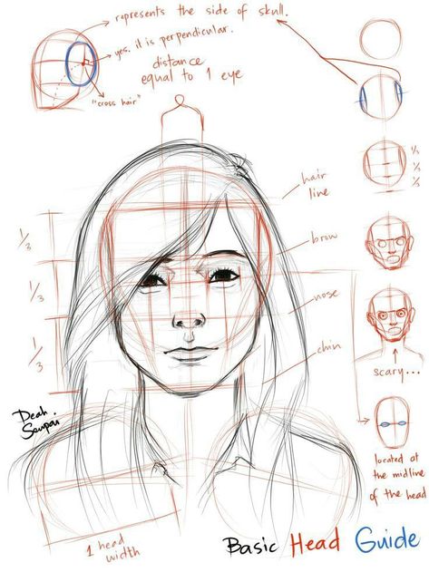 Head Angles, Drawing Hands, Human Anatomy Drawing, Human Figure Drawing, 얼굴 그리기, Drawing Heads, Drawing Faces, Maddie Ziegler, Character Sketches