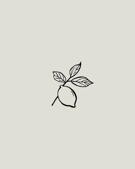 Line art illustrator & designer (@lineart.doodle) • Instagram photos and videos Line Art Fruit, Line Art Food Illustration, Orange Line Drawing, Fruit Line Art, Food Line Art Illustration, Fruit Line Illustration, Orange Line, Fruit Illustration, Line Drawing