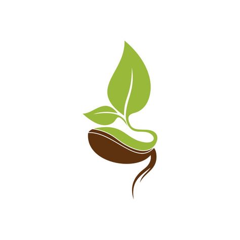 logo icons,plant,icon,vector,seed,logo,leaf,organic,symbol,nature,design,green,natural,grow,growth,agriculture,fresh,food,sign,ecology,farm,illustration,element,eco,concept,sprout,garden,simple,environment,graphic,flower,isolated,health,creative,bio,tree,life,template,flat,growing,gardening,flora,soil,company,botany,business,vegan,line,floral,bean,product Sprout Logo, Lime Cocktails, Lime Margarita Recipe, Seed Logo, Plant Logos, Agriculture Logo, Logo Illustration Design, Plant Icon, Eco Logo