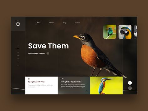 Save Bird landing page design by Jitu Raut | Dribbble | Dribbble Web Ui Design, Website Design Layout, Poster Layout, Website Design Services, Ui Design Inspiration, Web Inspiration, Web Layout, User Interface Design, Design Guide