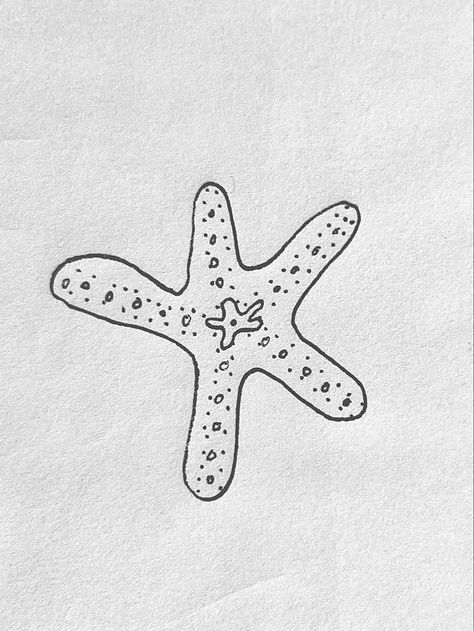 Seastar Tattoo, Perfume Business, Morning Sketch, Sea Starfish, Tattoo Reference, Line Sketch, Tattoo Illustration, Sea Star, Fine Line