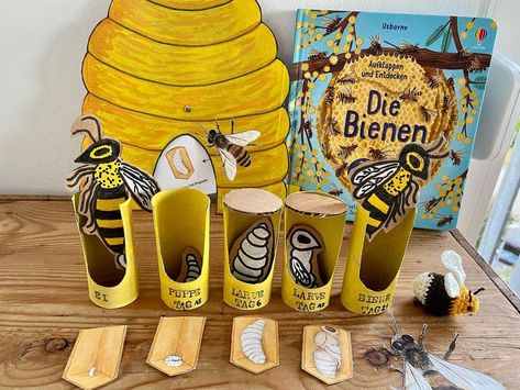 Linda Mydlak on Instagram: “Bee lifecycle 🐝 We made this toilet paper roll bee lifecycle last year and it still looks lovely! The kids had lots of fun arranging…” Bee Lifecycle, Bee Life Cycle, Bee Activities, Science Projects For Kids, Bee Crafts, Paper Towel Roll Crafts, Garden Art Crafts, Animal Projects, Bugs And Insects