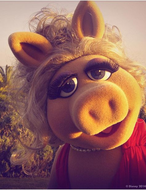 Muppet Mayhem, Kermit And Miss Piggy, Muppets Most Wanted, Fraggle Rock, The Muppet Show, Still Love Her, Miss Piggy, Tina Fey, This Little Piggy