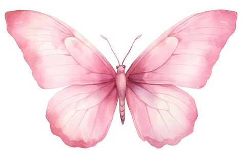 Minimal Butterfly, About Butterfly, Butterfly Animal, Animal Body Parts, Fairy Butterfly, Work Pictures, Animal Wildlife, Butterfly Fairy, Logo Creation