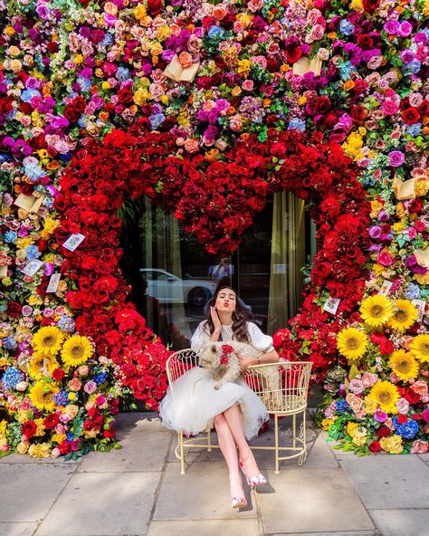 Jordan - Colourful Traveller on Instagram: “The Language of Flowers 🌹 Blowing a kiss to all of you who may need one today! 💋 This installation by @amieboneflowers for…” Decoration Vitrine, The Language Of Flowers, Boda Mexicana, Language Of Flowers, A Kiss, Flower Shop, Flower Wall, Pretty Flowers, San Valentino