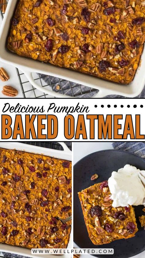 Pumpkin Oatmeal Bake, Pumpkin Baked Oatmeal, Oatmeal Healthy, Baked Oatmeal Healthy, Oatmeal Bake, Pumpkin Oatmeal, Healthy Fall, Healthy Pumpkin, Delicious Pumpkin