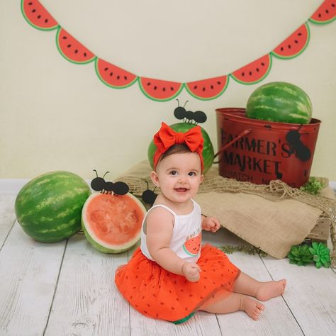 Children, children photography, children photographer, children photoshoot, unique children photography, unique children photoshoot, unique children photography, unique children photoshoot theme,  unique children photos, first birthday, first birthday photos, first birthday photo ideas, unique first birthday, unique first birthday photos, summer photoshoot, watermelon theme, children watermelon theme, watermelon photos, one in a melon theme, one in a melon Watermelon Photo Shoot Baby, Summer Theme Baby Photoshoot, Watermelon Baby Photoshoot, First Birthday Photo Ideas, Cute High Waisted Bikinis, Birthday Photo Ideas, Photoshoot Unique, Photoshoot Theme, Watermelon Theme