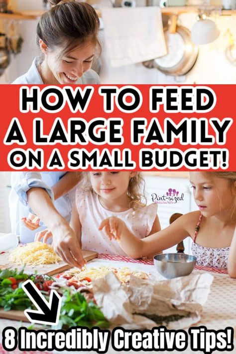 How to Feed a Large Family on a Small Budget: 8 Creative Tips! Family Of 8, Food Cost, Grocery Budgeting, Making Extra Cash, Get Out Of Debt, Small Budget, Smart Money, Large Family, Easy Chicken Recipes