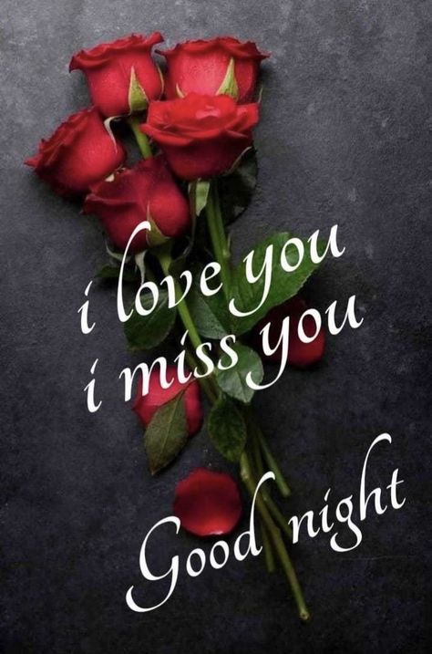 Good Night Rose, Good Night Love Pictures, Romantic Good Night Image, Good Night Sweetheart, Dove Images, Good Night I Love You, Beautiful Good Night Quotes, Good Night Love Quotes, Good Night Love Messages