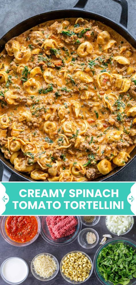 Creamy Spinach Tomato Tortellini, Spinach Tomato Tortellini, Easy Weeknight Pasta, Cheese Tortellini Recipes, Tomato Tortellini, Tortellini Recipe, Weeknight Pasta, Beef Pasta Recipes, Spinach Tomato