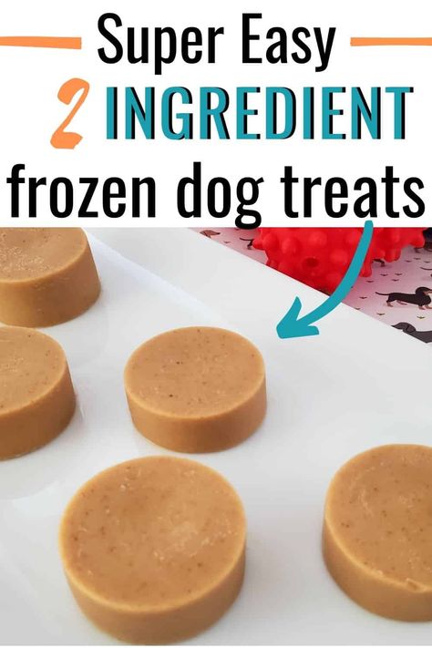 Frozen Dog Treats Recipes, Frozen Dog Treats Homemade, Pet Treats Recipes, Dog Treat Recipe, Dog Treats Homemade Easy, Easy Dog Treat Recipes, Frozen Dog Treats, Dog Biscuit Recipes, Easy Dog Treats