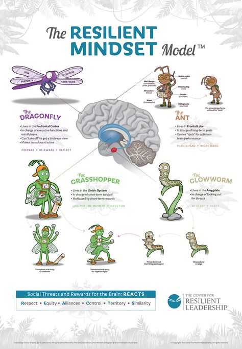 Four Mindful Bugs Who Teach The Resilient Mindset Model™ - Growth Mindset Blog & Newsletter Building Resilience Activities, Emotional Resilience Activities, Teaching Resilience, Psychological Resilience, Business Resilience, Resilience Activities, Emotional Resilience, Balanced Life, Positive Psychology