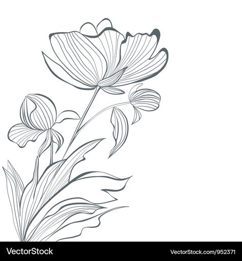 Flowers Outline Drawing, Flower Outline Drawing, Flowers Outline, Flower Outline, Flowers Vector, Outline Drawing, Peony Flowers, Outline Drawings, Embroidery Patch