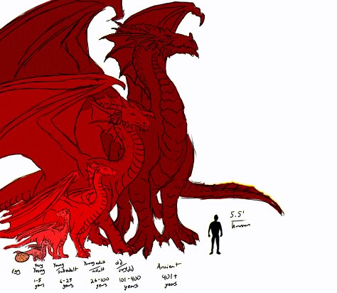 Dragon Sizes by Age compared to Human | d20 Pub Dragon Size Chart, Dragon Base, Mythical Monsters, Wings Of Fire Dragons, Dragon Artwork Fantasy, Dnd Dragons, Dragon Sketch, Dragon Images, Cool Dragons