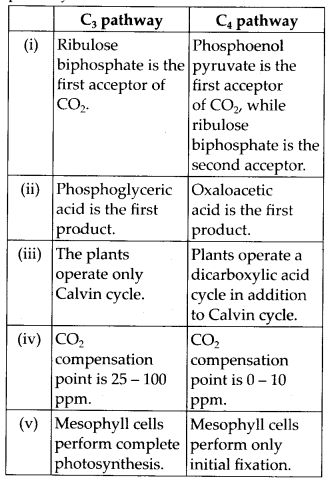 NCERT Solutions For Class 11 Biology Photosynthesis in Higher Plants Topics and Subtopics in NCERT Solutions for Class 11 Biology Chapter 13 Photosynthesis in Higher Plants: Section Name Topic Name 13 Photosynthesis in Higher Plants 13.1 What do we Know? 13.2 Early Experiments 13.3 Where does Photosynthesis take place? 13.4 How many Pigments are involved in […]The post NCERT Solutions For Class 11 Biology Photosynthesis in Higher Plants appeared first on Learn CBSE. Class 11 Biology Notes Chapter 1, Respiration In Plants Notes Class 11, Ncert Biology Class 11 Notes, Photosynthesis In Higher Plants Notes, Neet Biology Notes, Ncert Biology Class 11, Photosynthesis In Higher Plants, Photosynthesis Notes, Photosynthesis Poster