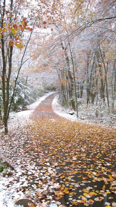 Autumn snow, Litchfield, CT by Walks Across #connecticut #newengland Winter Beauty, Winter Wonder, Winter Scenes, Winter Time, In The Woods, Beautiful World, Mother Nature, The Great Outdoors, Reiki