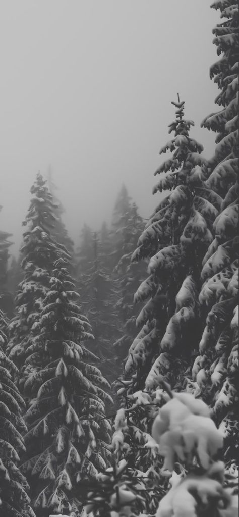 Winter Horror Aesthetic, Snowy Background Aesthetic, Snowy Wallpaper Iphone, Cold Wallpaper Aesthetic, Dark Winter Aesthetic Wallpaper, Snow Forest Wallpaper, Snow Wallpaper Aesthetic, Snow Phone Wallpaper, Snowy Wallpaper