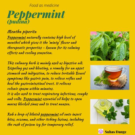 🍃 Add dry Peppermint leaves or a few drops of peppermint essential oil to your bath water. You can put a few drops of peppermint essential oil on your pillow for medicinal purposes 🍃 Add fresh peppermint leaves to your fresh juices, lemonade or smoothies or sprinkle on fresh homemade pizza. Mint sauce, jelly and chutney are popular items of cuisine. Mix in Peppermint leaves to your salad, crush them to add to greek yogurt or hot soups Fresh Juices, Mint Sauce, Food As Medicine, Culinary Herbs, Peppermint Leaves, Bath Water, Upset Stomach, Hot Soup, Fresh Juice