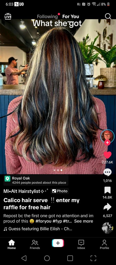 Dark Calico Hair, Subtle Calico Hair, Calico Hair Color, Calico Hair, Dyed Curly Hair, Highlights Curly Hair, Hair 2024, Baddie Tips, Hair Stylies