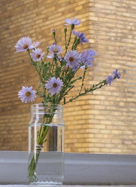 Aster Flower Bouquet, Aster Bouquet, October Bouquet, Aster Flower, Dorm Posters, Small Bouquet, Birth Flower, Art References, Birth Flowers