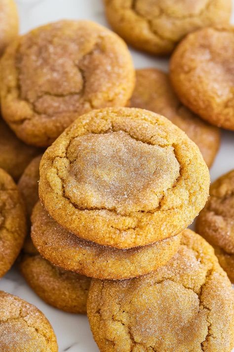 These pumpkin snickerdoodle cookies are the ultimate autumn treat. They’re soft and chewy, sweet and spiced, and jam-packed with a big pumpkin flavor. Soft Pumpkin Snickerdoodles, Chewy Pumpkin Snickerdoodles, Soft Pumpkin Snickerdoodle Cookies, Chewy Pumpkin Snickerdoodle Cookies, Pumpkin Snickerdoodles Cookies, Pumpkin Snickerdoodle Cookies Recipes, Pumpkin Snickerdoodle Cookie Recipe, Chewy Pumpkin Cookies, Pumpkin Snickerdoodle Cookies