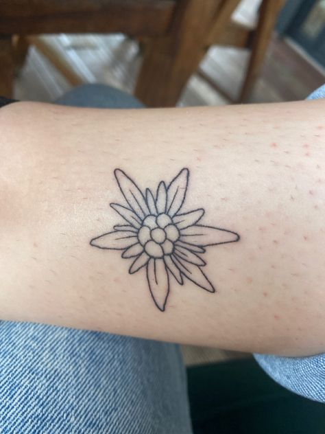 Edelweiss Flower Tattoo Simple, Edelweiss Tattoo Design, Austria Tattoo Ideas, Edelweiss Tattoo Simple, Germany Tattoo Ideas, Edelweiss Flower Tattoo, Edelweiss Tattoo, Peony Flower Tattoos, Edelweiss Flower